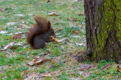 Przynajmniej po plecach nie piździ ;)