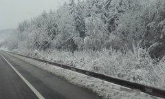 20171209_102258.jpg