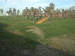 IMG_20170302_093844.jpg