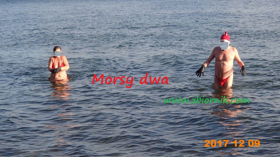 Wychodzimy. - Morsy_dwa