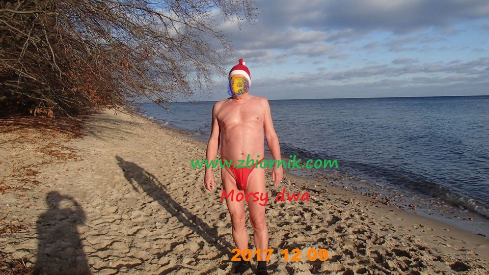 Po wyjściu z morza. - Morsy_dwa