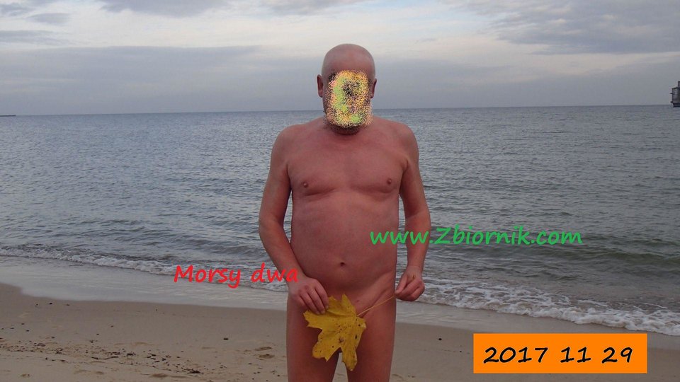 Liść klonu. - Morsy_dwa