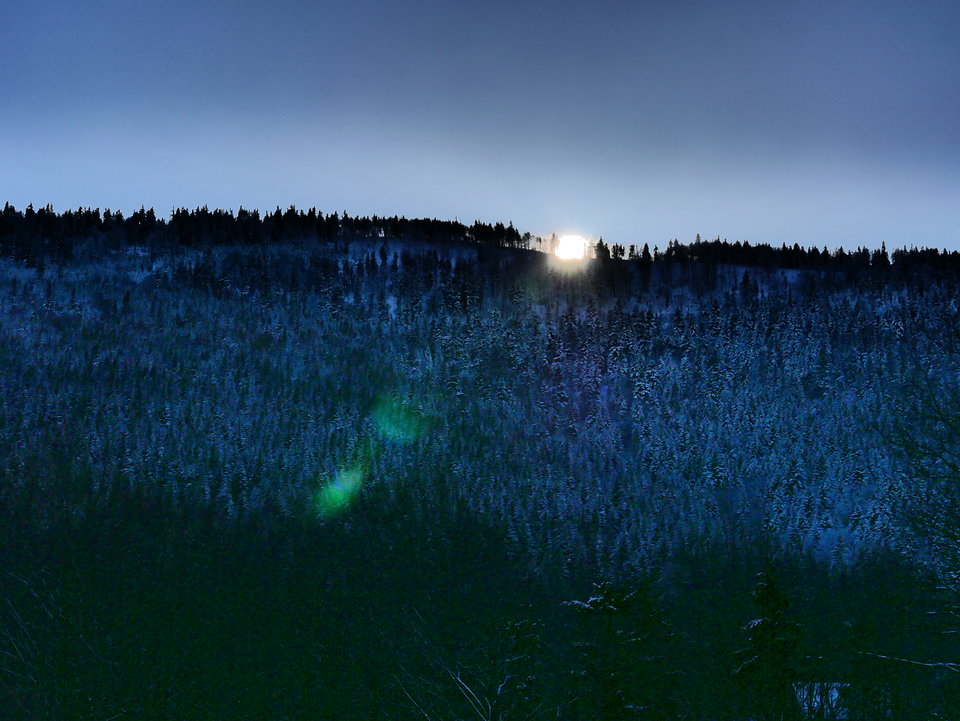 P1000613.JPG - FoKam431