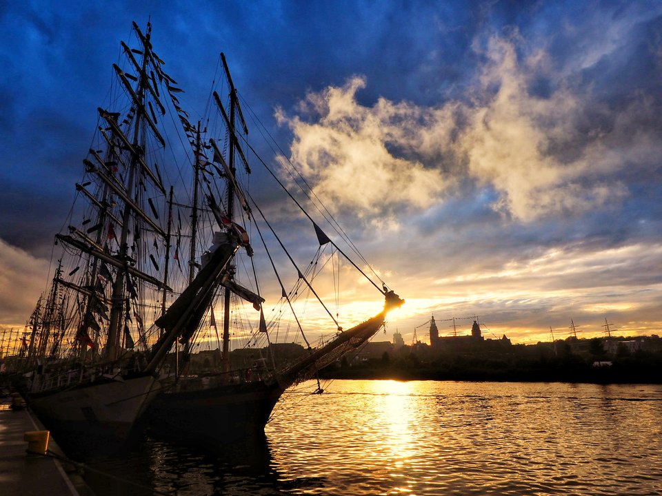 OI000016-01.jpeg - Tomas43