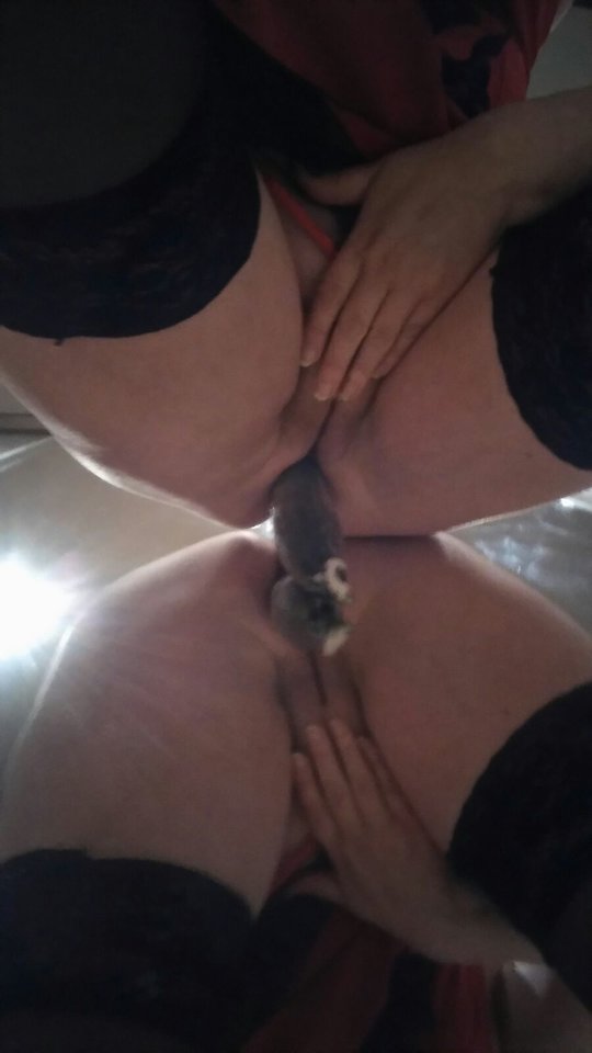 IMG-20171210-WA0021.jpg - bz1974