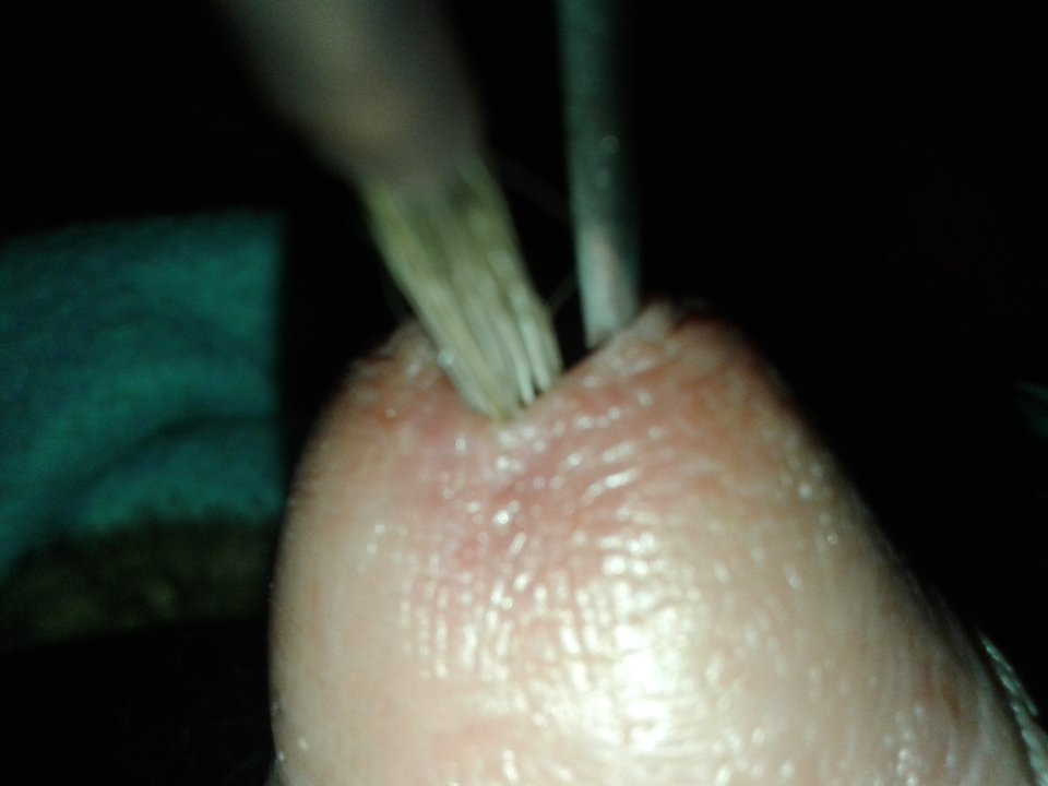 20171101_230642.jpg - janekoko4