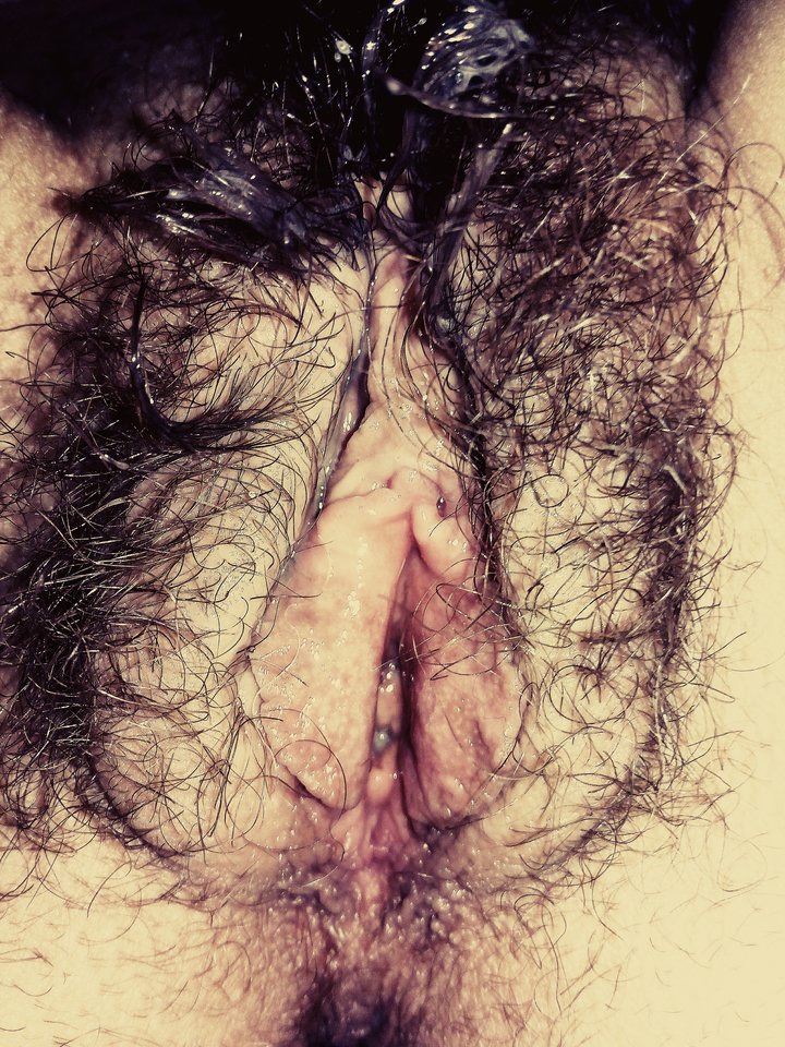 IMG_20171110_072636.jpg - hansetka