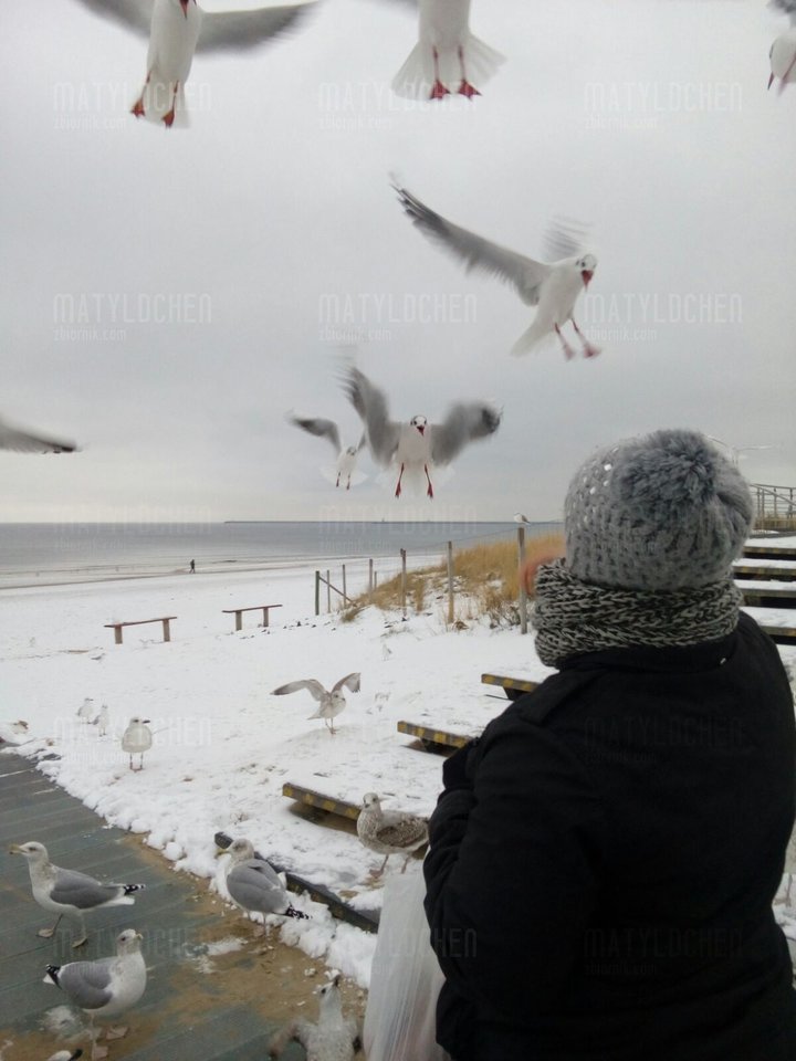 IMG-20171211-WA0001.jpg - matyldchen