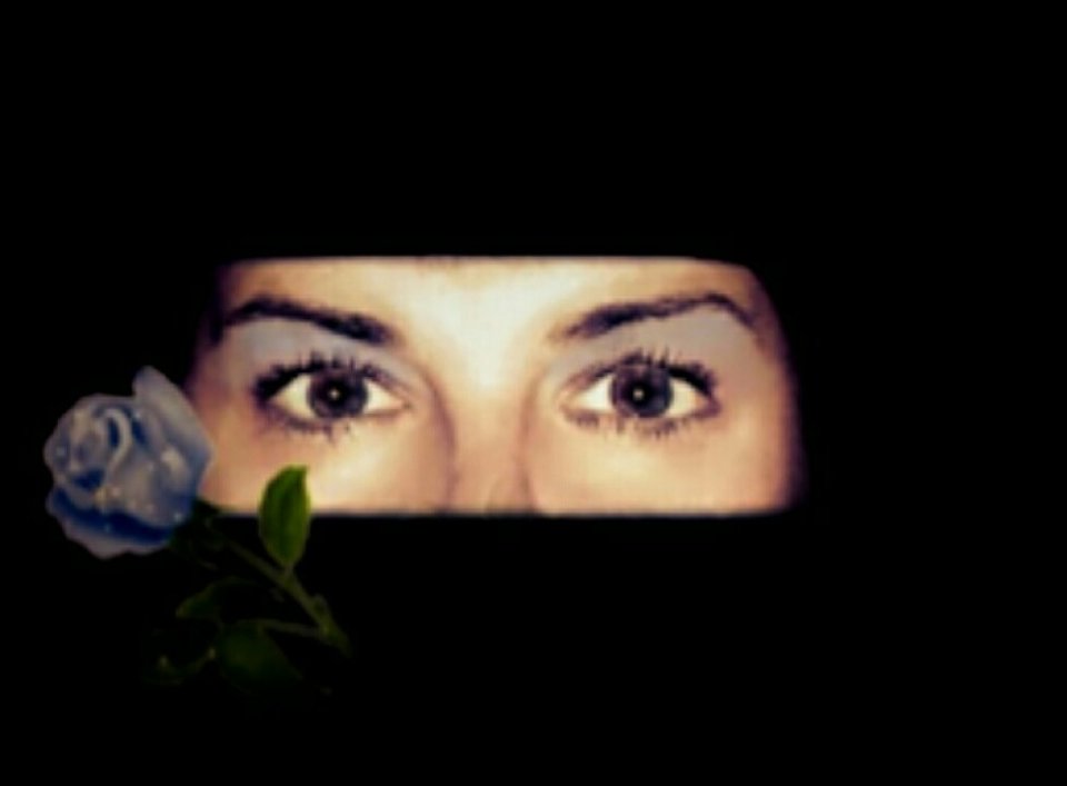 IMG-20171211-WA0004.jpg - Eurydyka2956