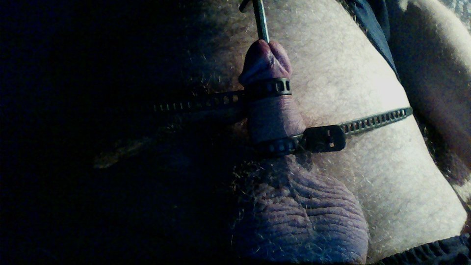 WIN_20171211_213335.JPG - janekoko4