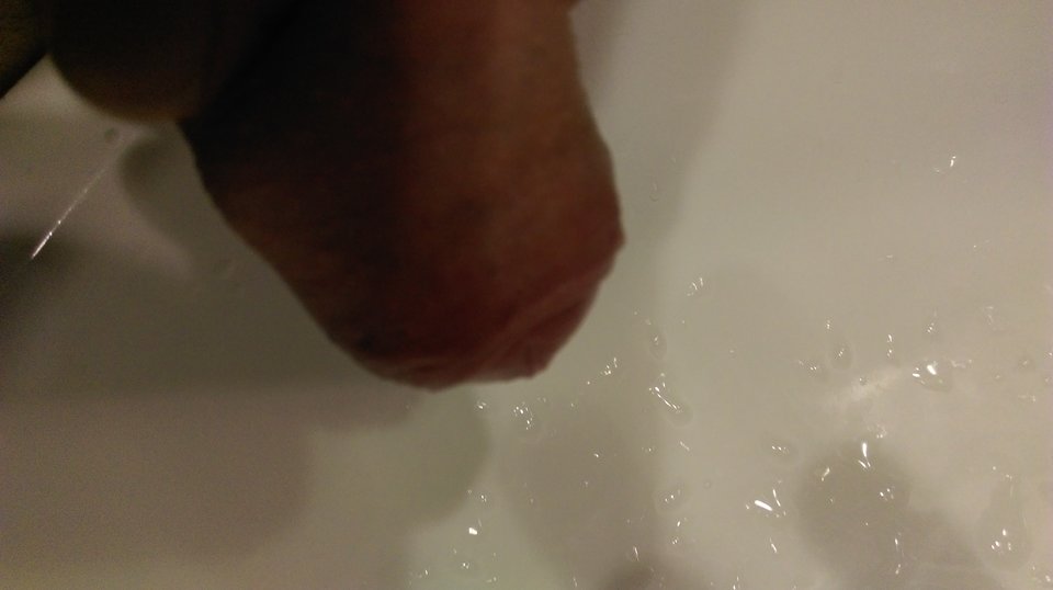 IMAG1426.jpg - Kutas96dzwo