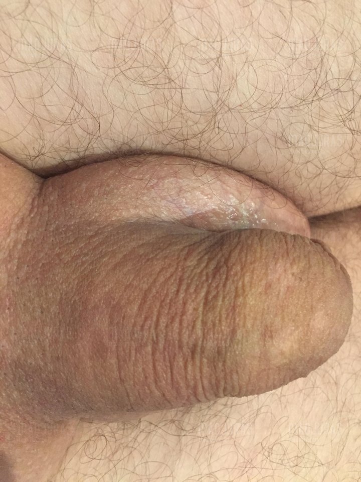 unnamed.jpg - MaoJuras