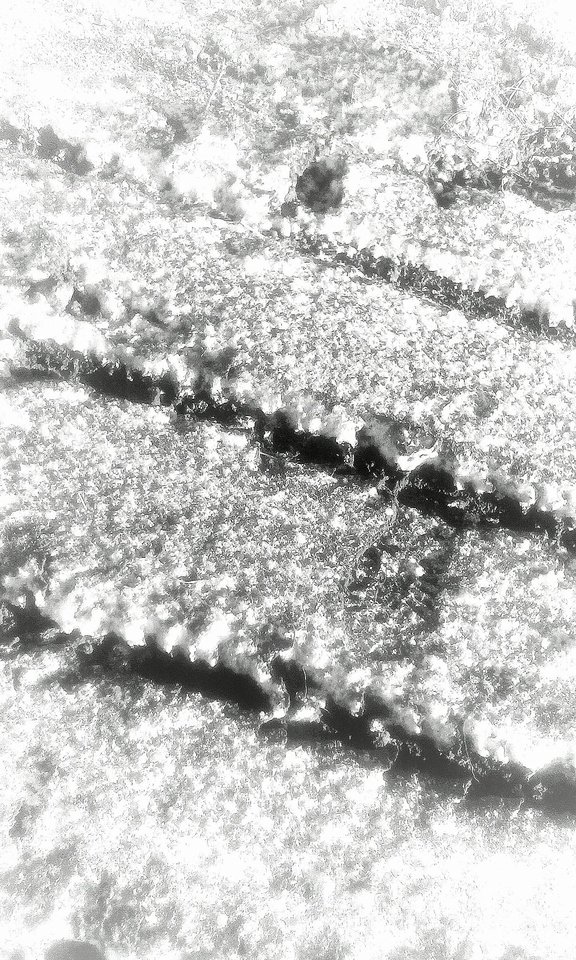 bw2.jpg - Mekagojiranogyakushu