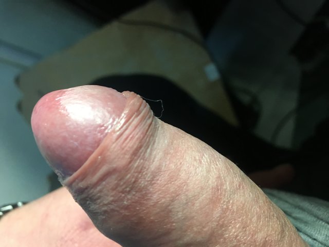 damko66