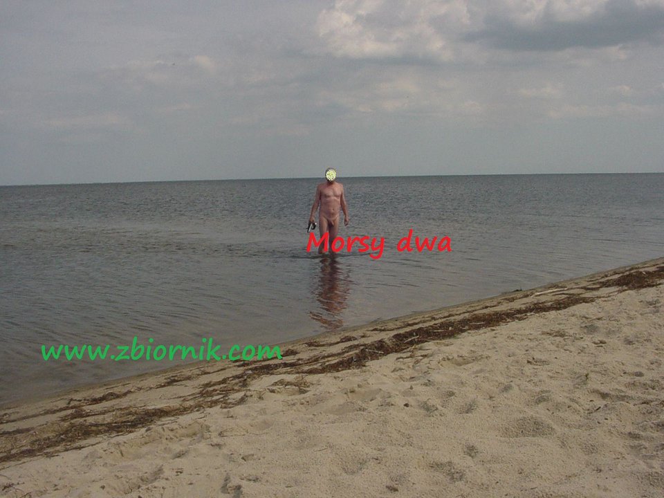 Zatoka Pucka - Morsy_dwa