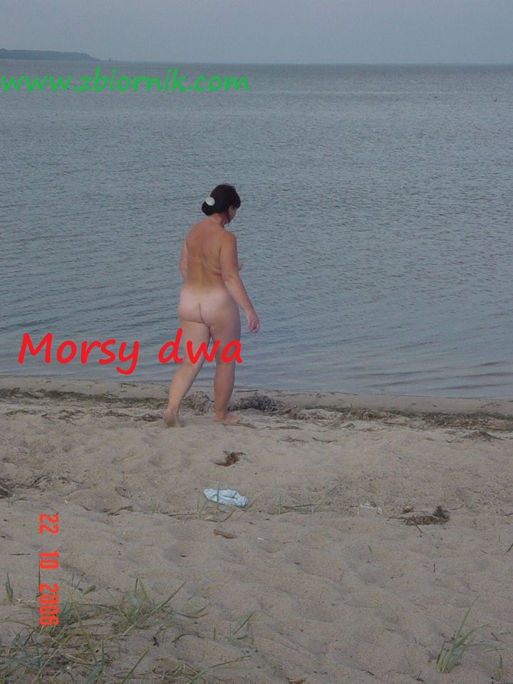 Zatoka Pucka - Morsy_dwa