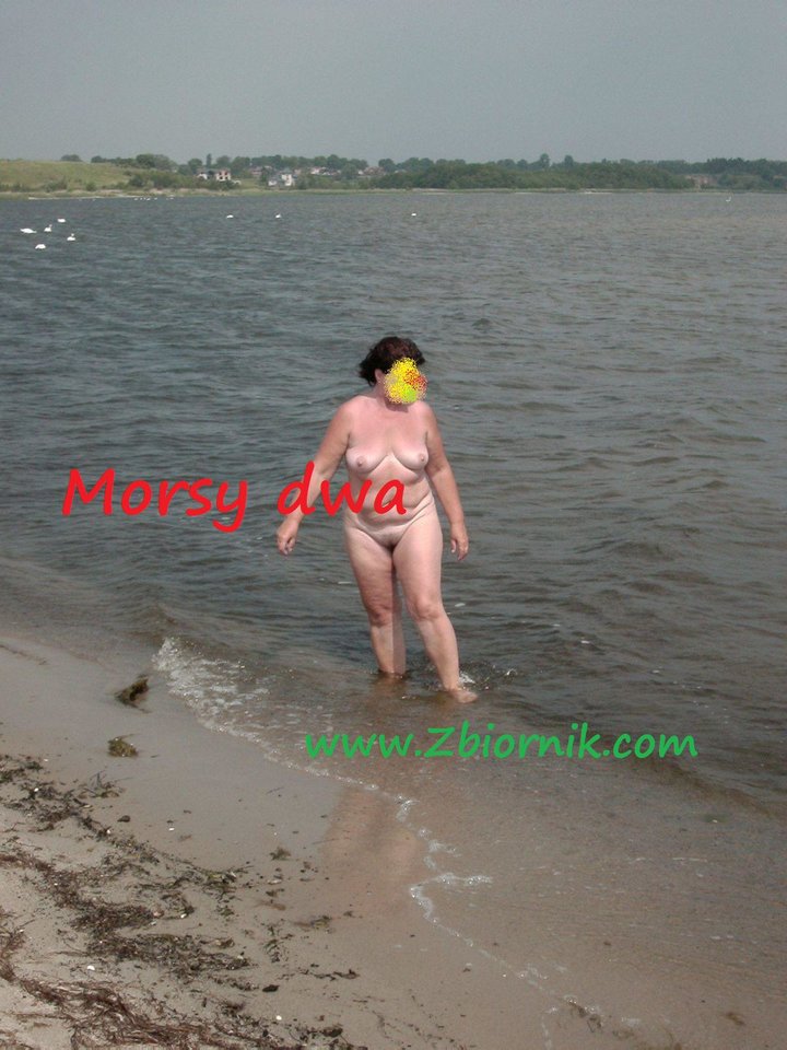 Zatoka Pucka - Morsy_dwa