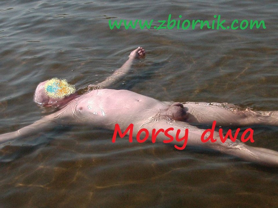 Zatoka Pucka - Morsy_dwa