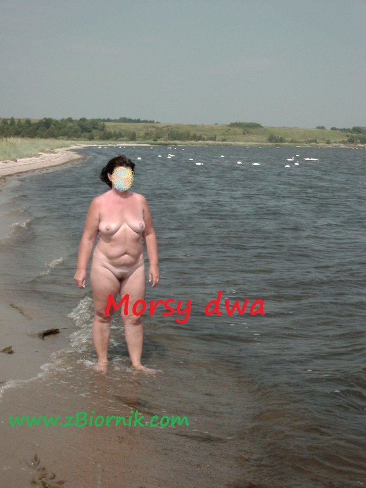 Zatoka Pucka - Morsy_dwa