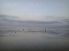 2017-12-15 15.36.25.jpg