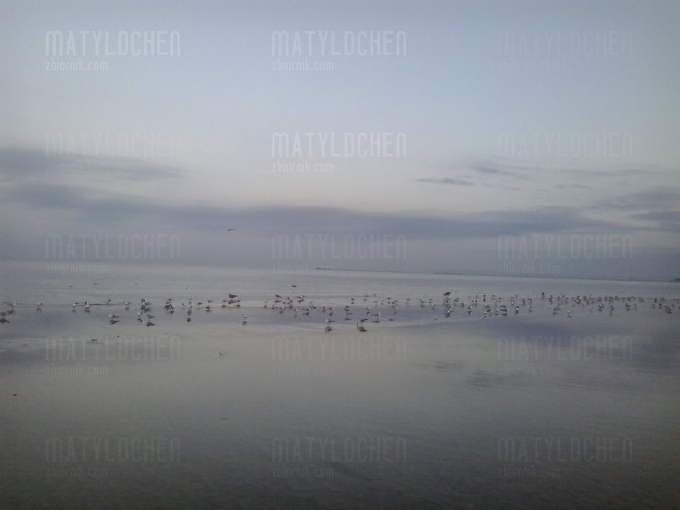 2017-12-15 15.36.25.jpg - matyldchen