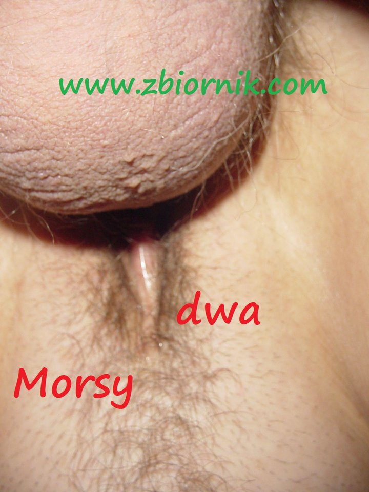 Razem - Morsy_dwa