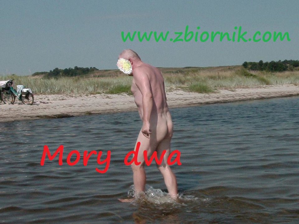 Zatoka Pucka - Morsy_dwa