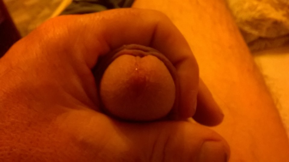 WP_20171218_08_14_17_Pro.jpg - bono49