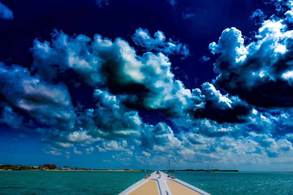 DSC02982 - samanthandricc