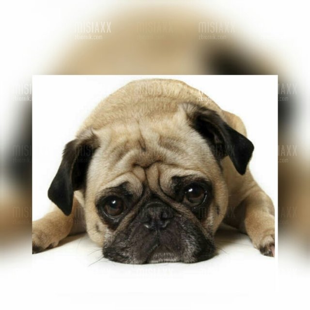 Mój dzisiejszy dzień....😠😠😠 - misiaXX