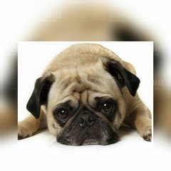 Mój dzisiejszy dzień....😠😠😠