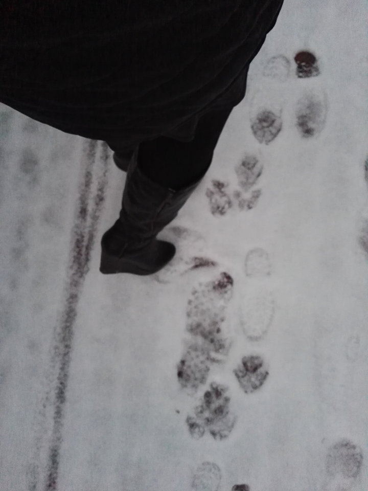 IMG_20171219_154604.jpg - wiktoriacd