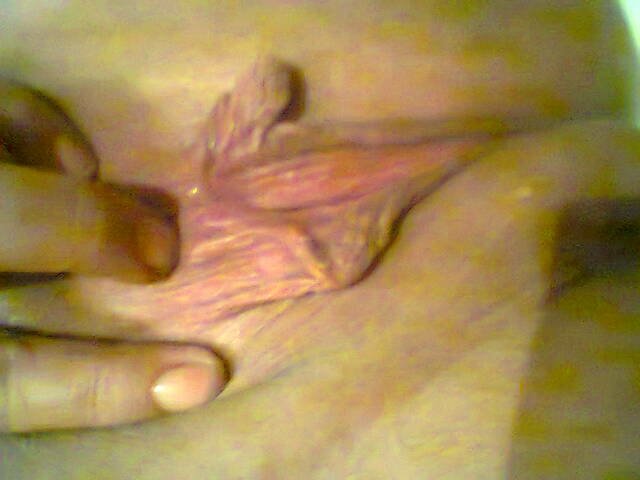 image-836ebc24f72daccfc2d607d91ef143e0268149e10739ad8b5602d5e97d - parka6972