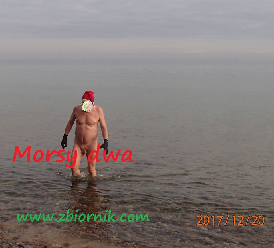 Oksywie. - Morsy_dwa