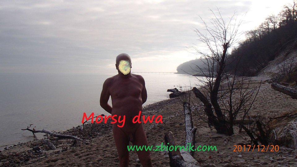 Oksywie w kierunku bulwaru. - Morsy_dwa