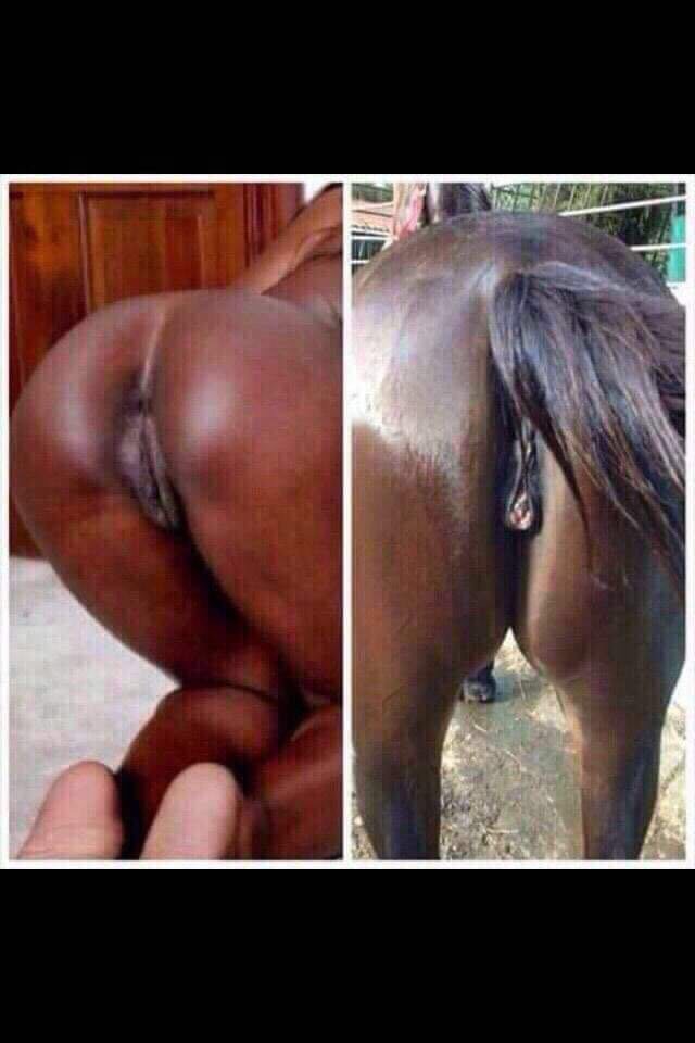 CBAFDD35-AE7E-444E-BD32-85C8789E4917.jpeg - parki37kock