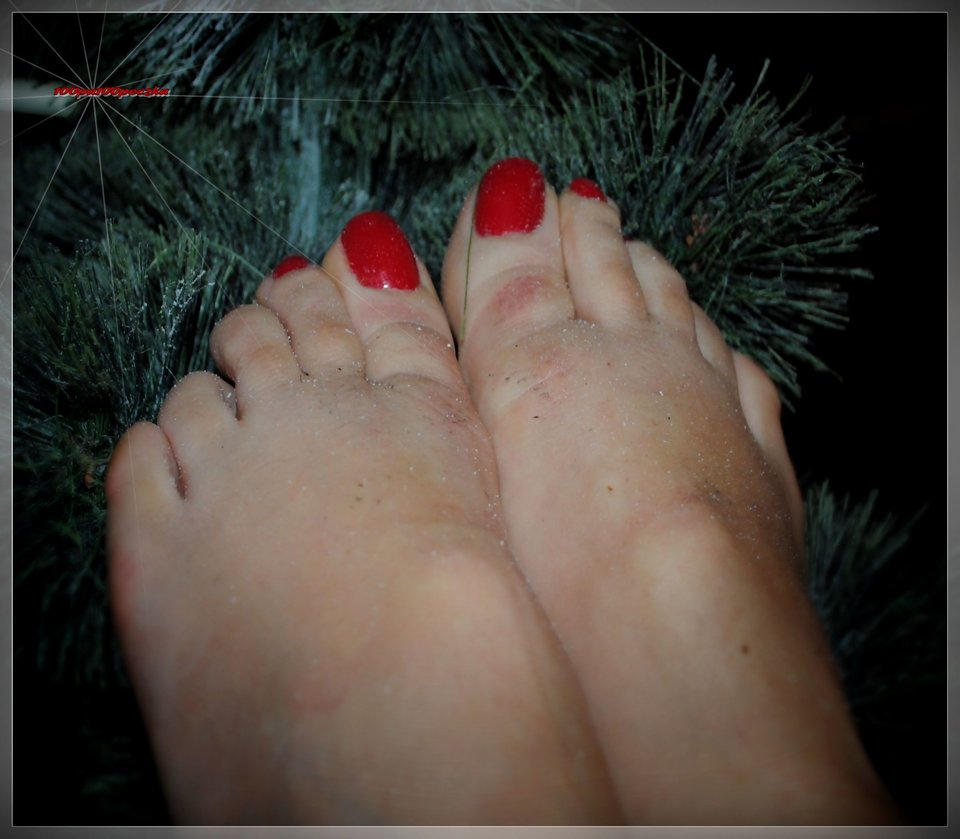 Wesołych Świąt - 100pa100peczka