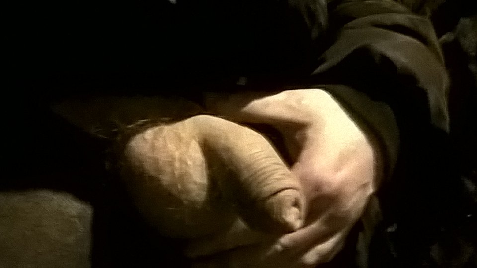 WP_20171224_06_24_09_Pro.jpg - brodacz89