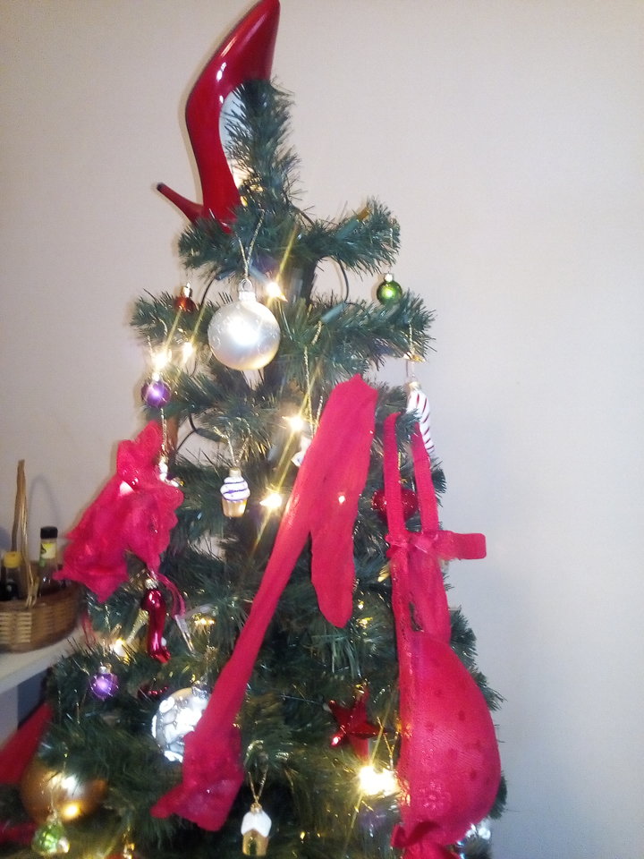 IMG_20171224_100040[1].jpg - ZwirekiMuchomorka