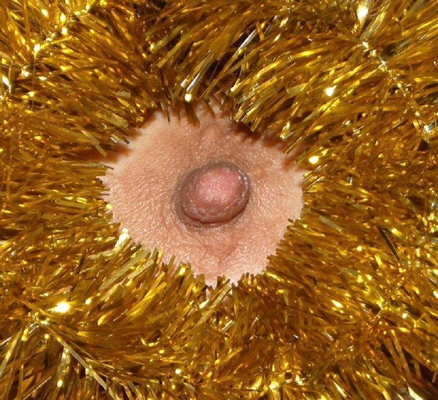 Świąteczne dekoracje.jpg - aga124