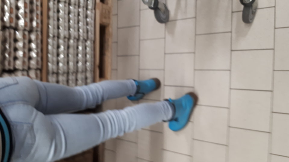 20171223_132803.jpg - wesolaparkalbl