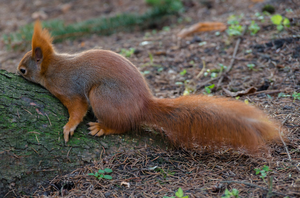 Ciężkie Święta :) - mystic