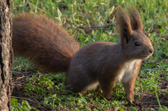 W grudniowym słońcu
