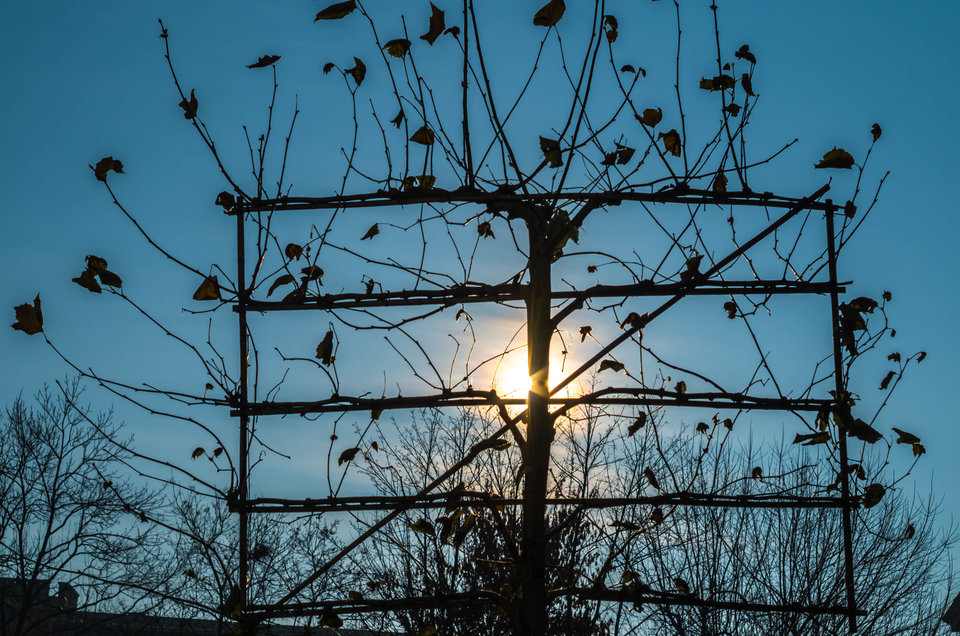 Pod slońce - mystic