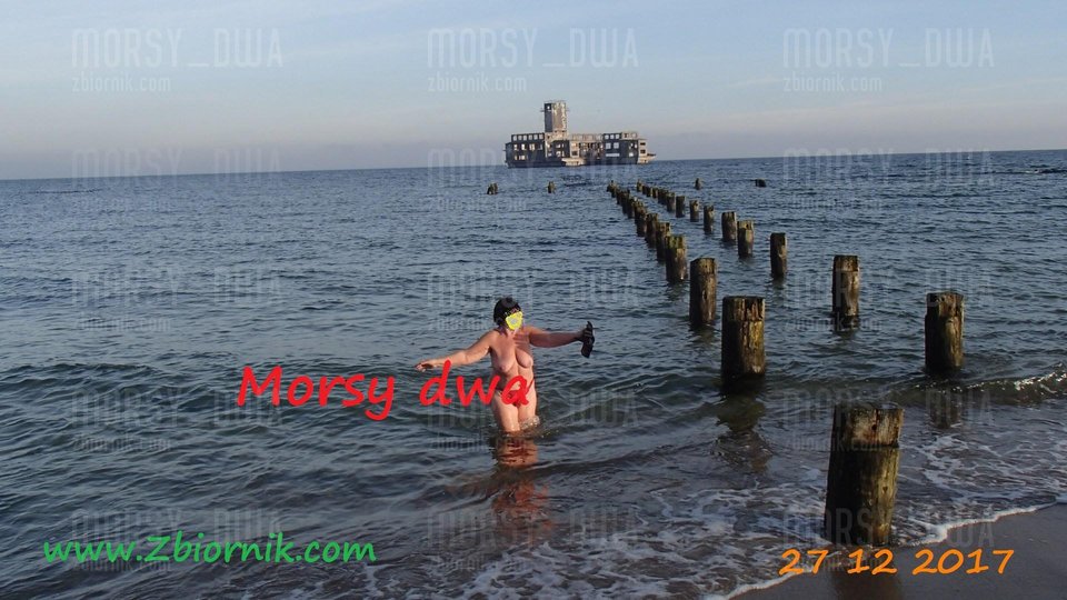 Kąpiel - Morsy_dwa