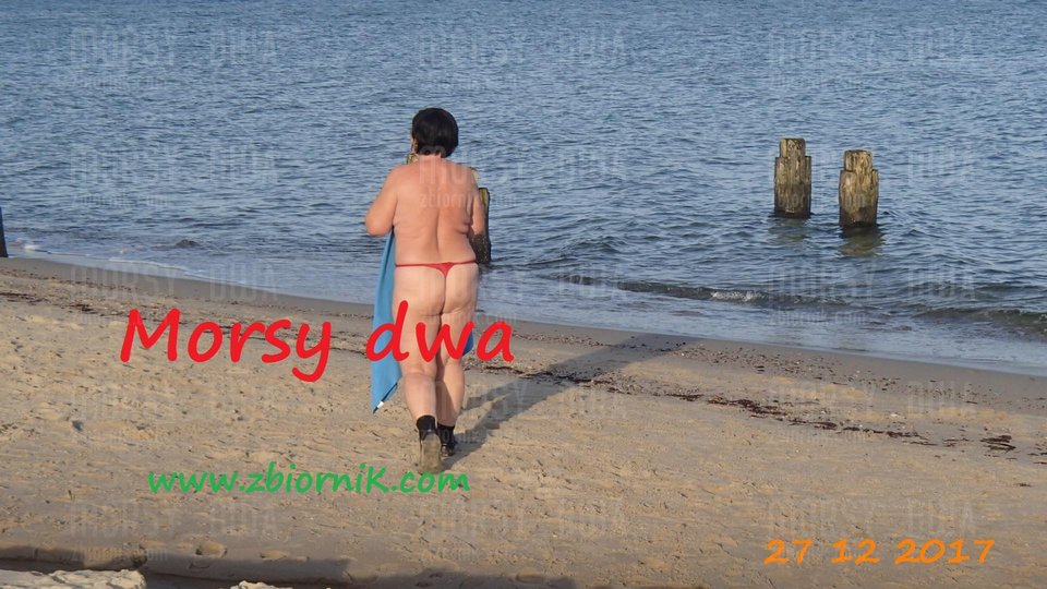Kąpiel - Morsy_dwa