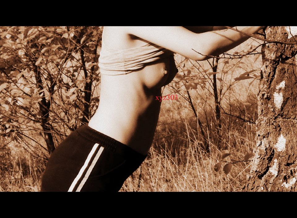 PA241663a.jpg - xyz303