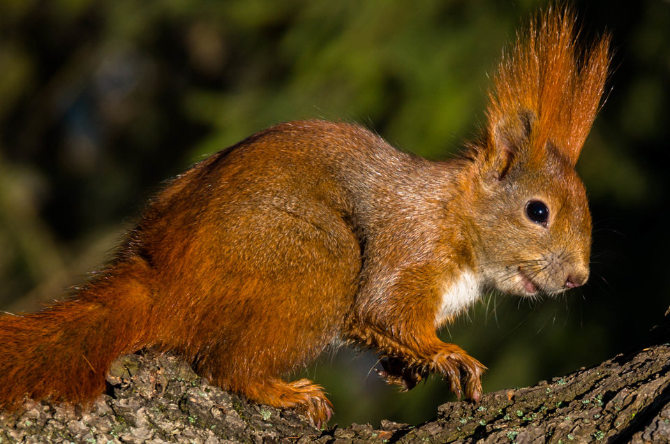Uśmiech Giocondy - mystic