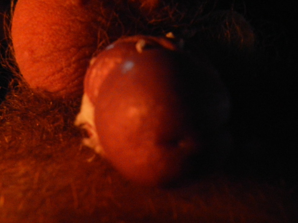 DSCN1210.JPG - janekoko4