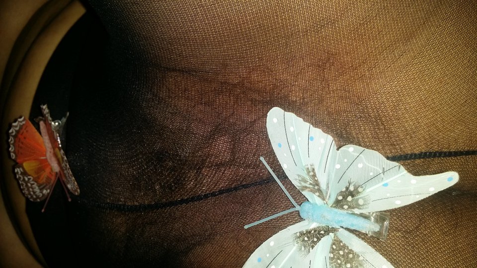 20180105_121231.jpg - Ninjabi